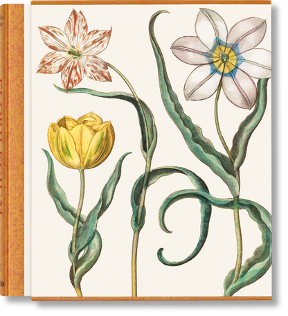 TASCHEN America - Basilius Besler. The Garden at Eichstätt (German, French, English) (FFE) - PMA Store at the Portland Museum of Art, Maine