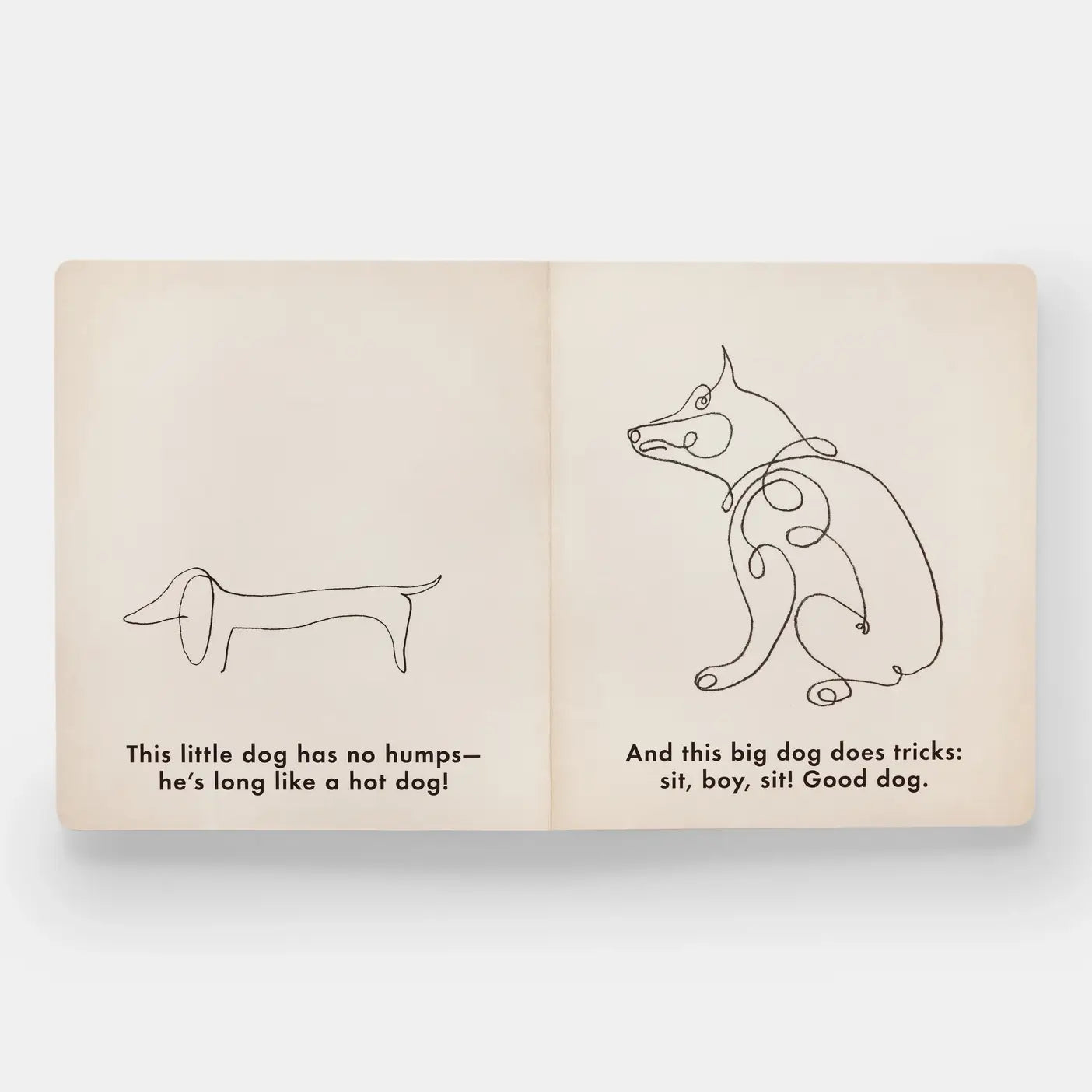 Birds & Other Animals - PMA Store at the Portland Museum of Art, Maine