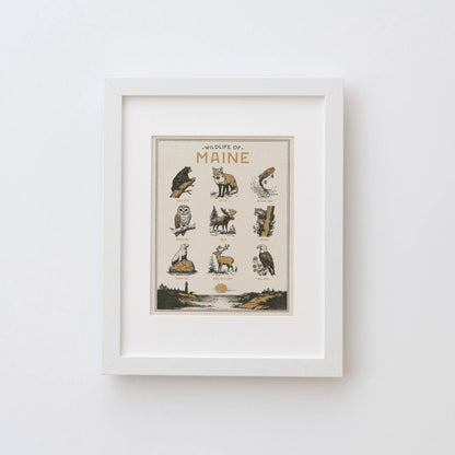 Benoit's Design Co. - Maine Wildlife Print: Unframed 8x10 Print - PMA Store at the Portland Museum of Art, Maine