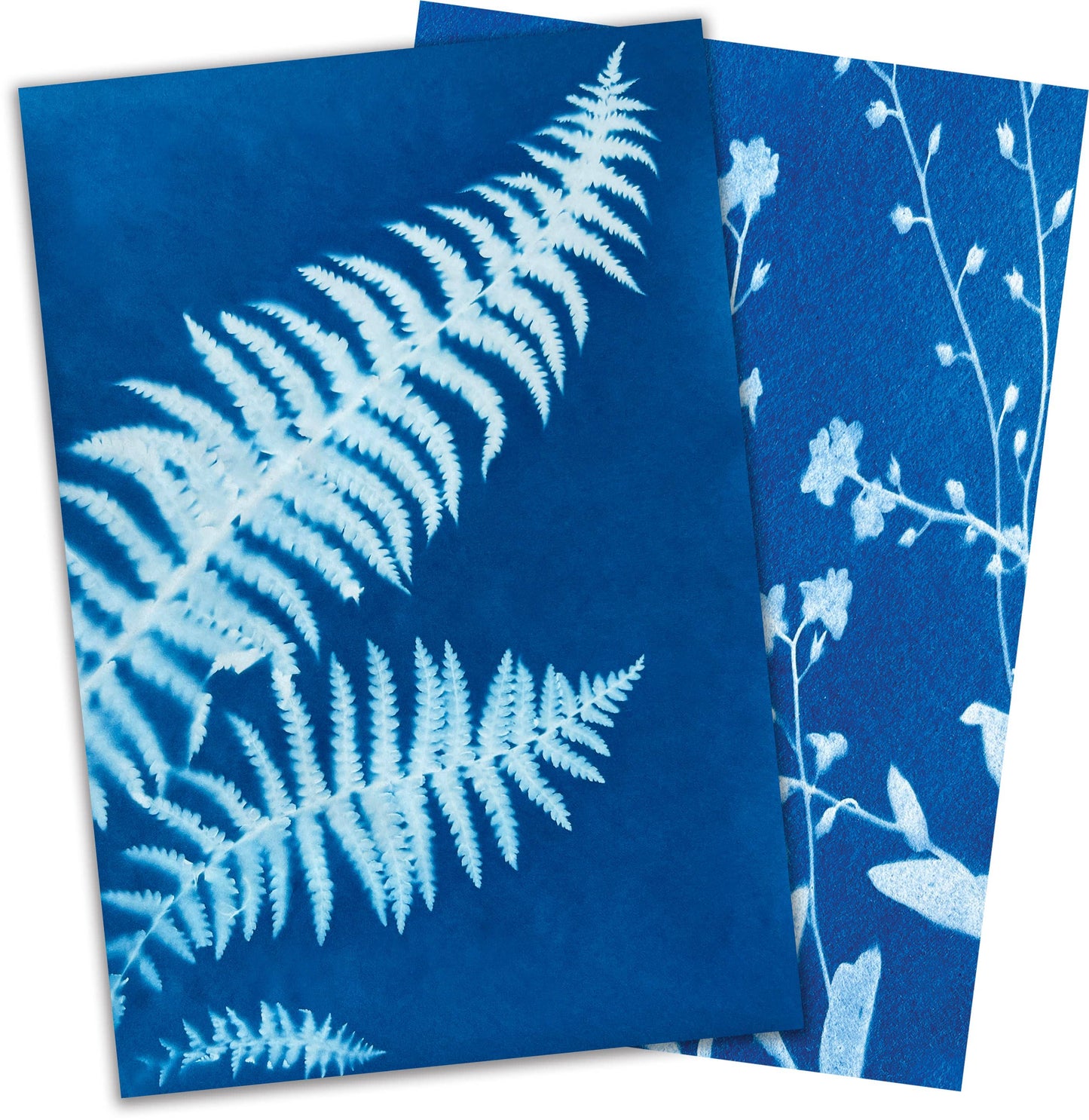 Copernicus Toys - Sun Snap Photo Paper: Cyanotype sun print kit 5.8x8.3”