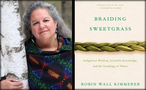 Braiding Sweetgrass Book. By Robin Wall Kimmerer. - PMA Store at the Portland Museum of Art, Maine