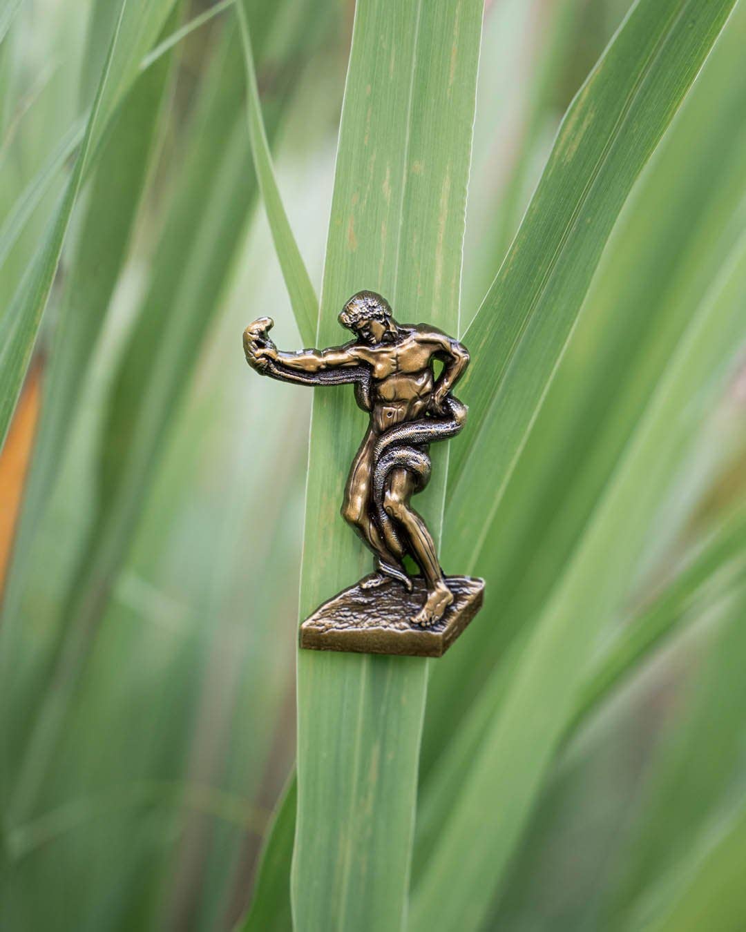 An Athlete Wrestling with a Python • Enamel Pin - PMA Store at the Portland Museum of Art, Maine