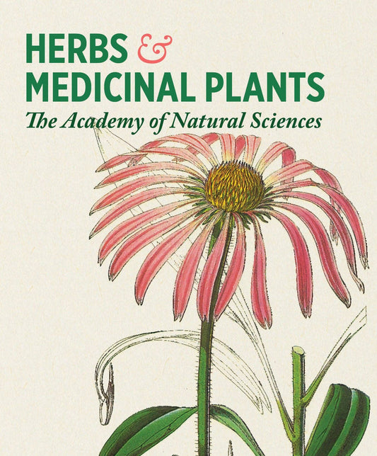Pomegranate - Herbs and Medicinal Plants Knowledge Cards - PMA Store at the Portland Museum of Art, Maine