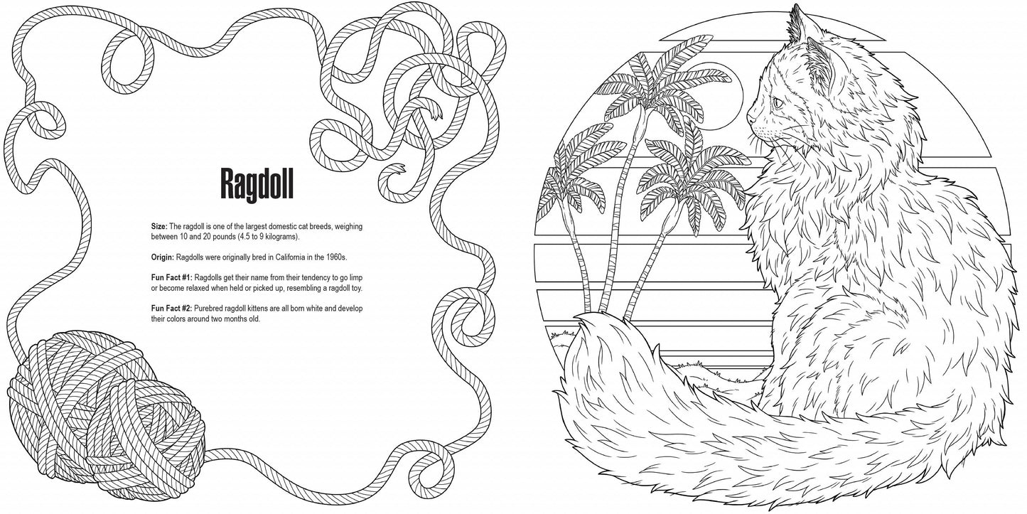 Penguin Random House LLC - Cats: A Smithsonian Coloring Book - PMA Store at the Portland Museum of Art, Maine
