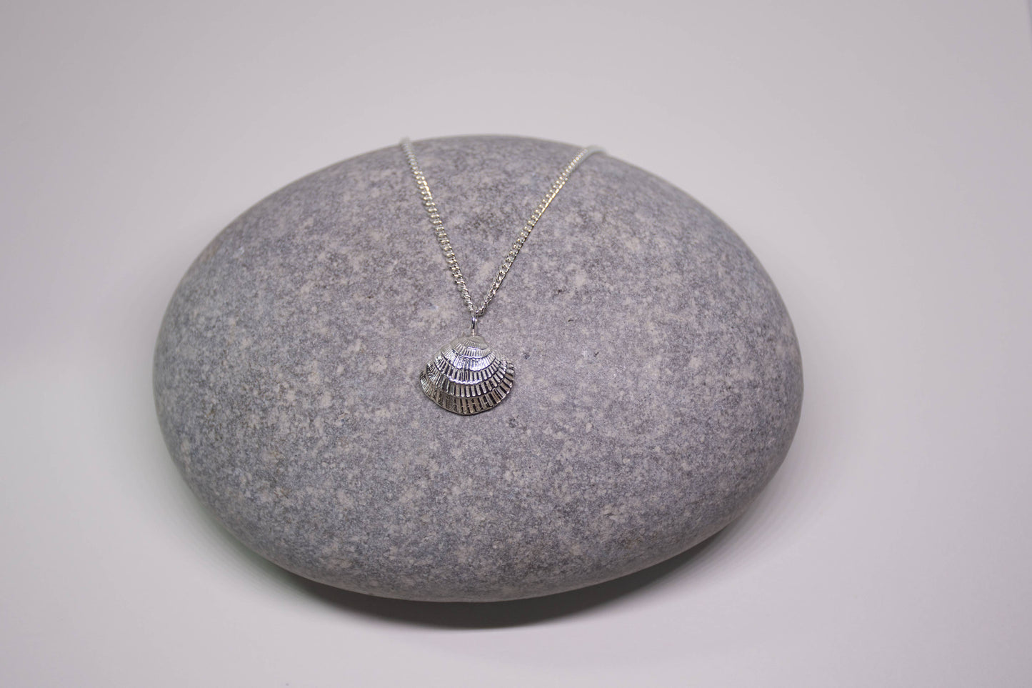 Sea Salt & Silver - Radial Clam Shell Necklace - PMA Store at the Portland Museum of Art, Maine