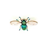 Field Bee Brooch Pin