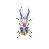 Stag Pincer Beetle Brooch Pin