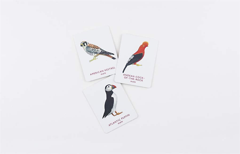 Match a Pair of Birds: A Memory Game