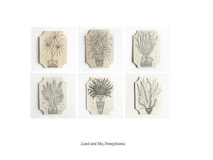 Box Flower Box 100 postcards by 10 Artists - PMA Store at the Portland Museum of Art, Maine