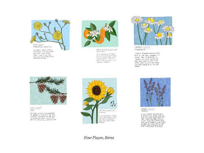 Box Flower Box 100 postcards by 10 Artists - PMA Store at the Portland Museum of Art, Maine