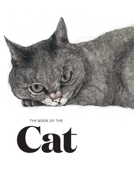 The Book of Cat: Cats in Art