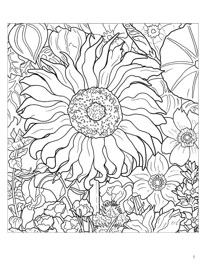 Rosalind Wise: Flower Cycle Coloring Book - PMA Store at the Portland Museum of Art, Maine