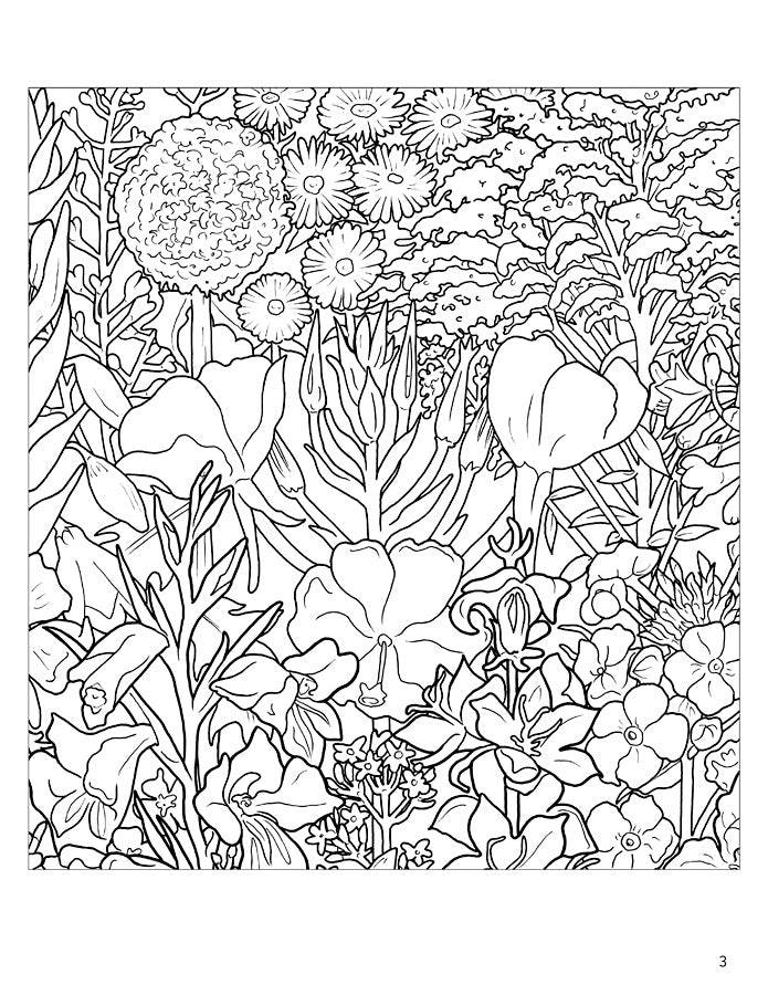 Rosalind Wise: Flower Cycle Coloring Book - PMA Store at the Portland Museum of Art, Maine